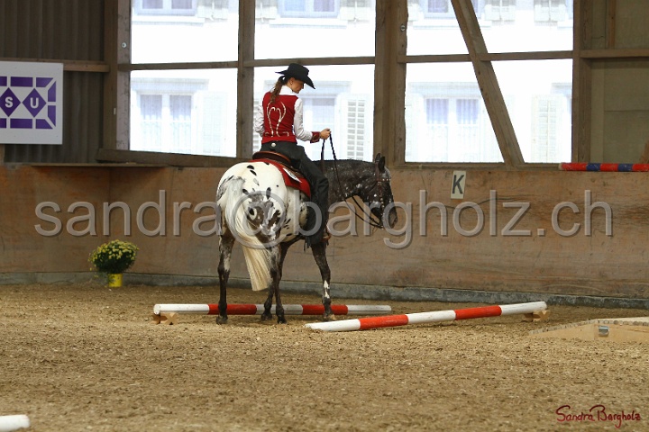 28-ApHC OT_284.jpg